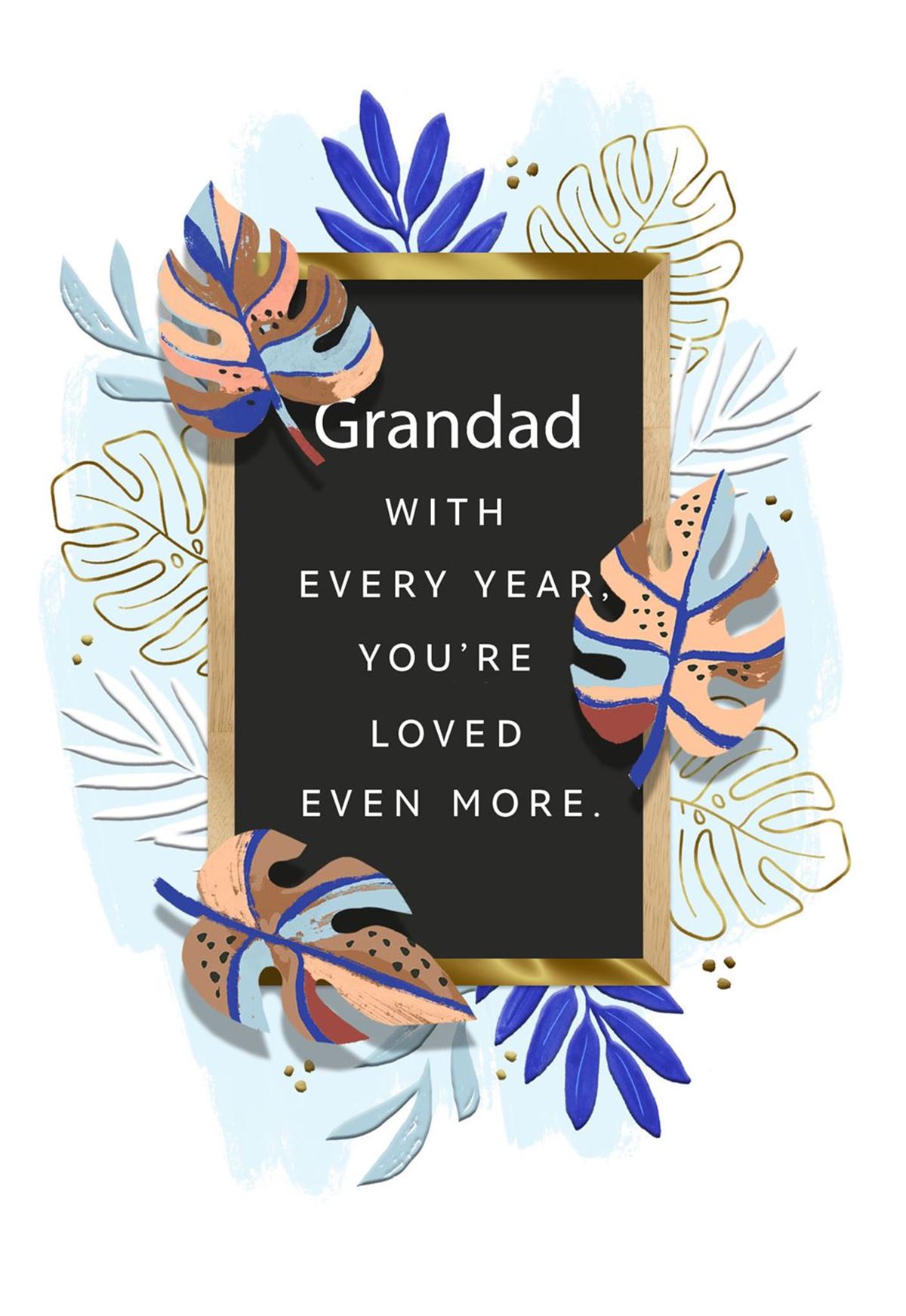 GRANDAD OPEN HOUSEPLANT