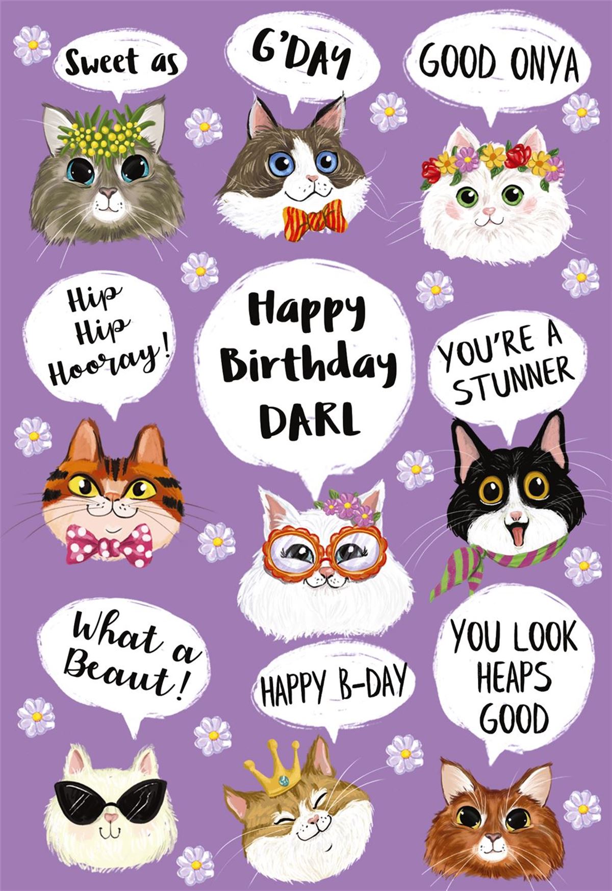 BDY MULTI CATS 075