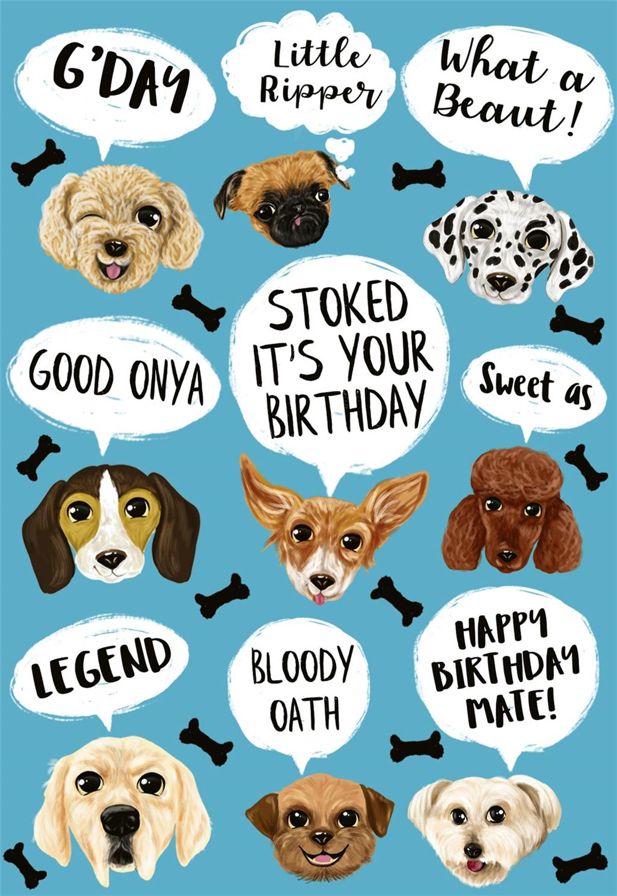 BDY MULTI DOGS