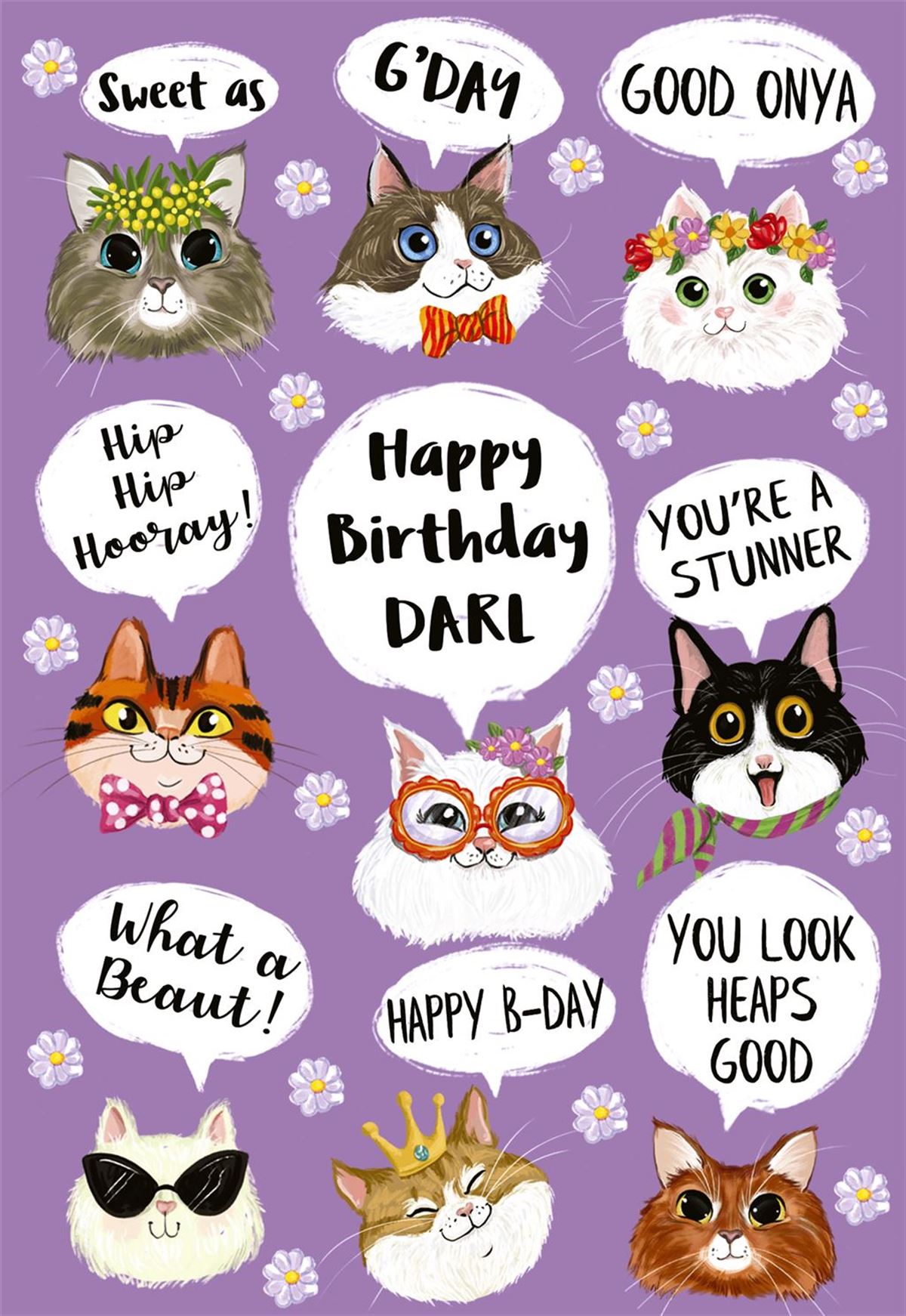 BDY MULTI CATS